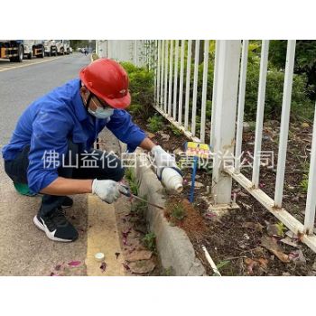 顺德红火蚁防治工程