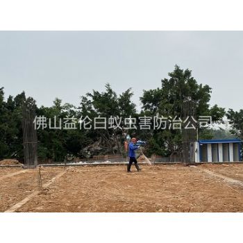 顺德地基新建预防白蚁工程