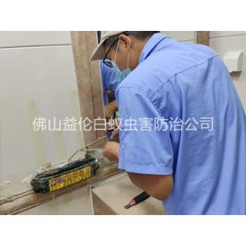 顺德诱杀箱施药灭杀白蚁工程